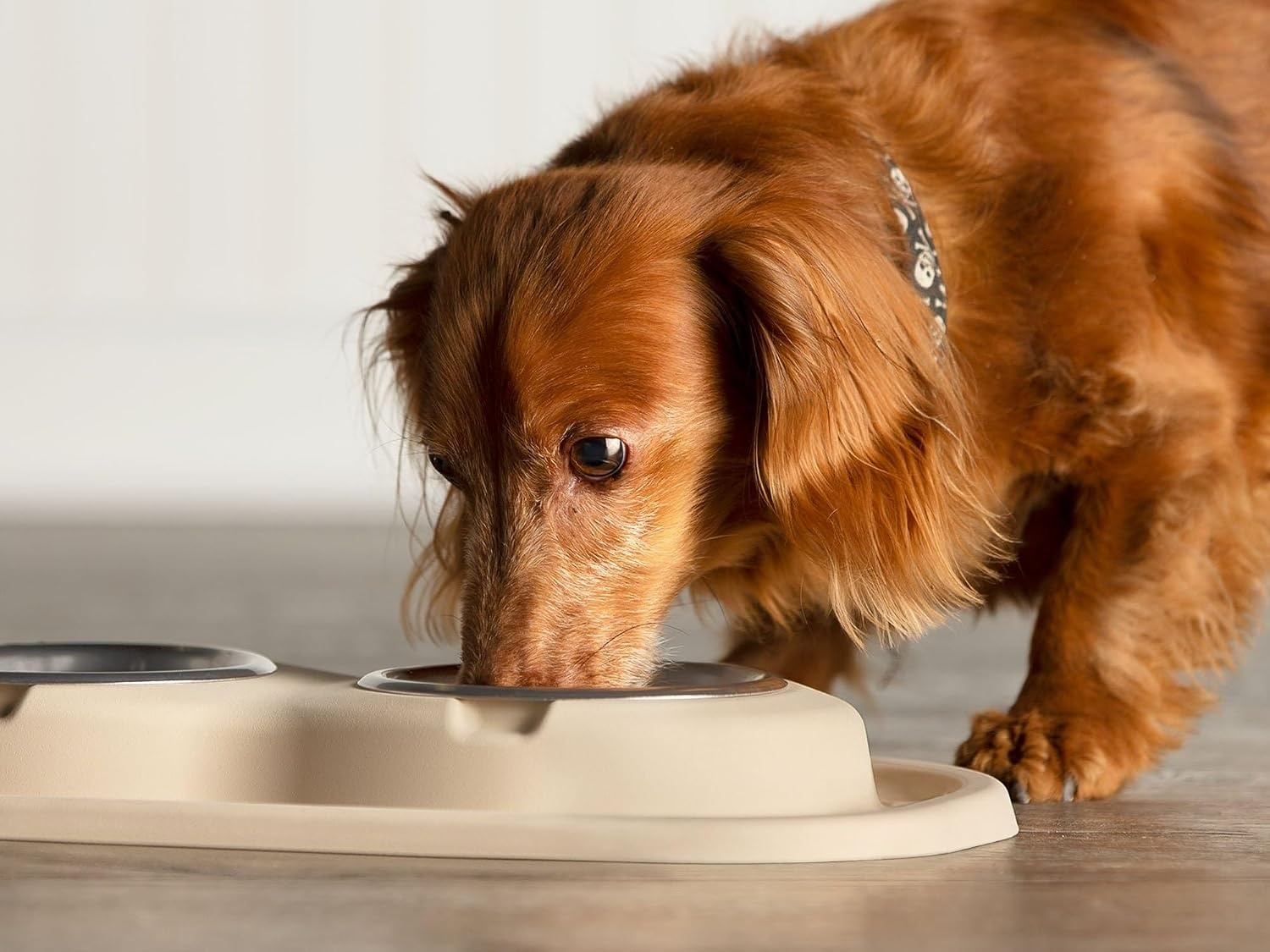 image:imageWeatherTech Double Low Pet Feeding System wPlastic DogCat Bowls 8 oz 1 Cup Dark Grey PDL0801DGDark Grey