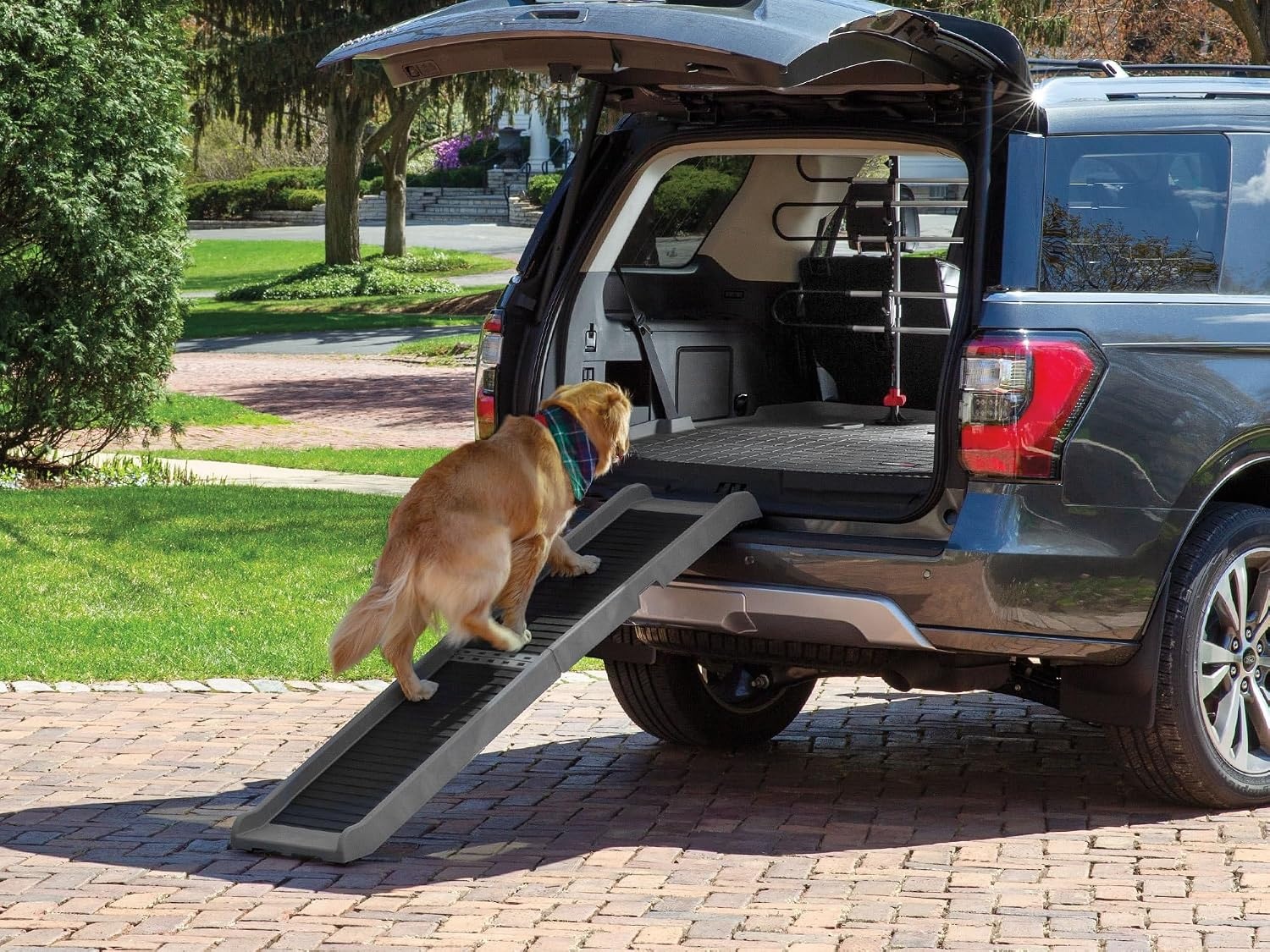 image:imageWeatherTech PetRamp NonSlip Portable Dog Ramp for Large Dogs to 300 Pounds 67 x 15 Traction Grip Ramp Easy Access for Pets to Car SUV Truck Bed Couch amp Other Home AreasPetRamp