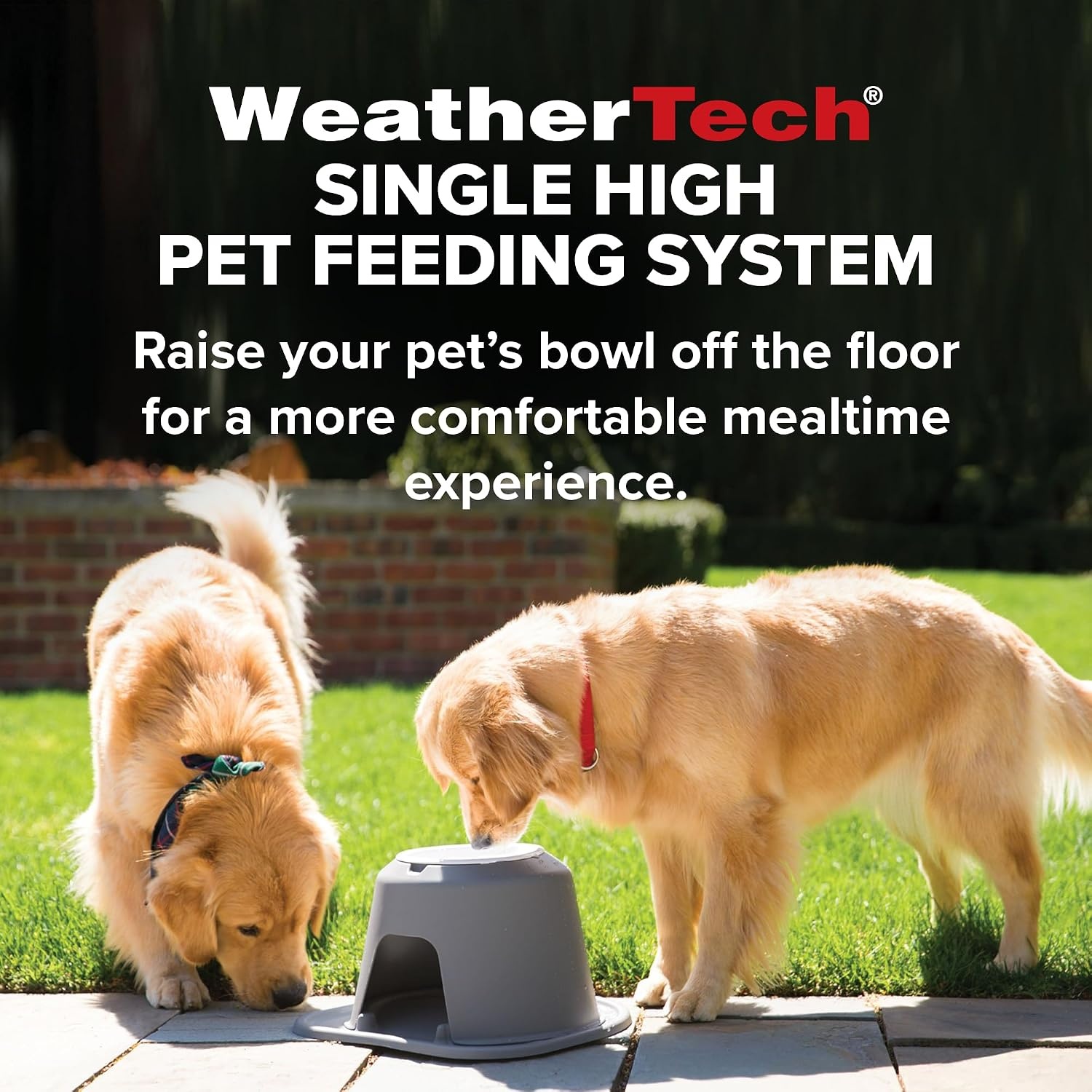 image:imageWeatherTech Single High Pet Feeding System wPlastic DogCat Bowls 3 High Stand Dark Grey PSH0803DGDGLight Grey