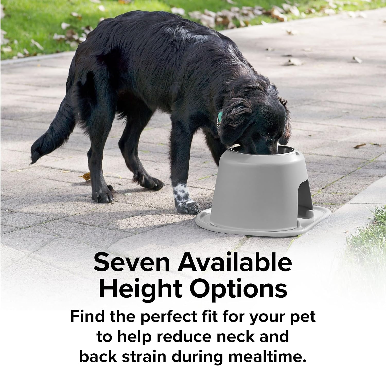 image:imageWeatherTech Single High Pet Feeding System wPlastic DogCat Bowls 3 High Stand Dark Grey PSH0803DGDGTan