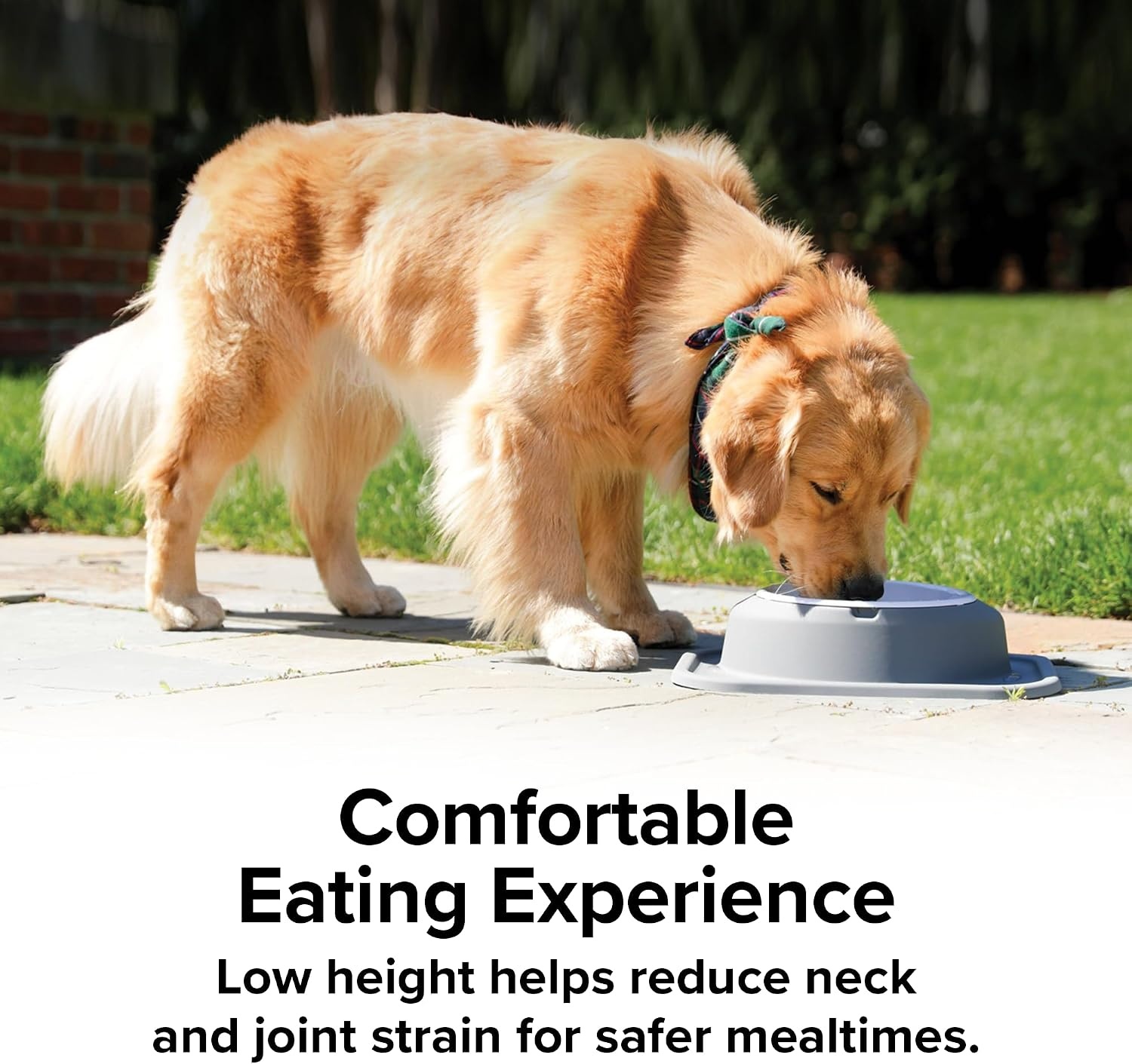 image:imageWeatherTech Single Low Pet Feeding System wPlastic DogCat Bowls 8 oz 1 Cup Dark Grey PSL0801DGTan